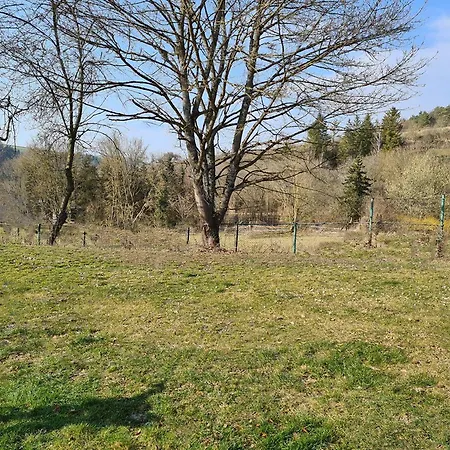Naturcampingplatz Bad Mergentheim - Ferienwohnungen In Der Natur Esterno foto